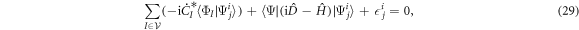 Equation (29)