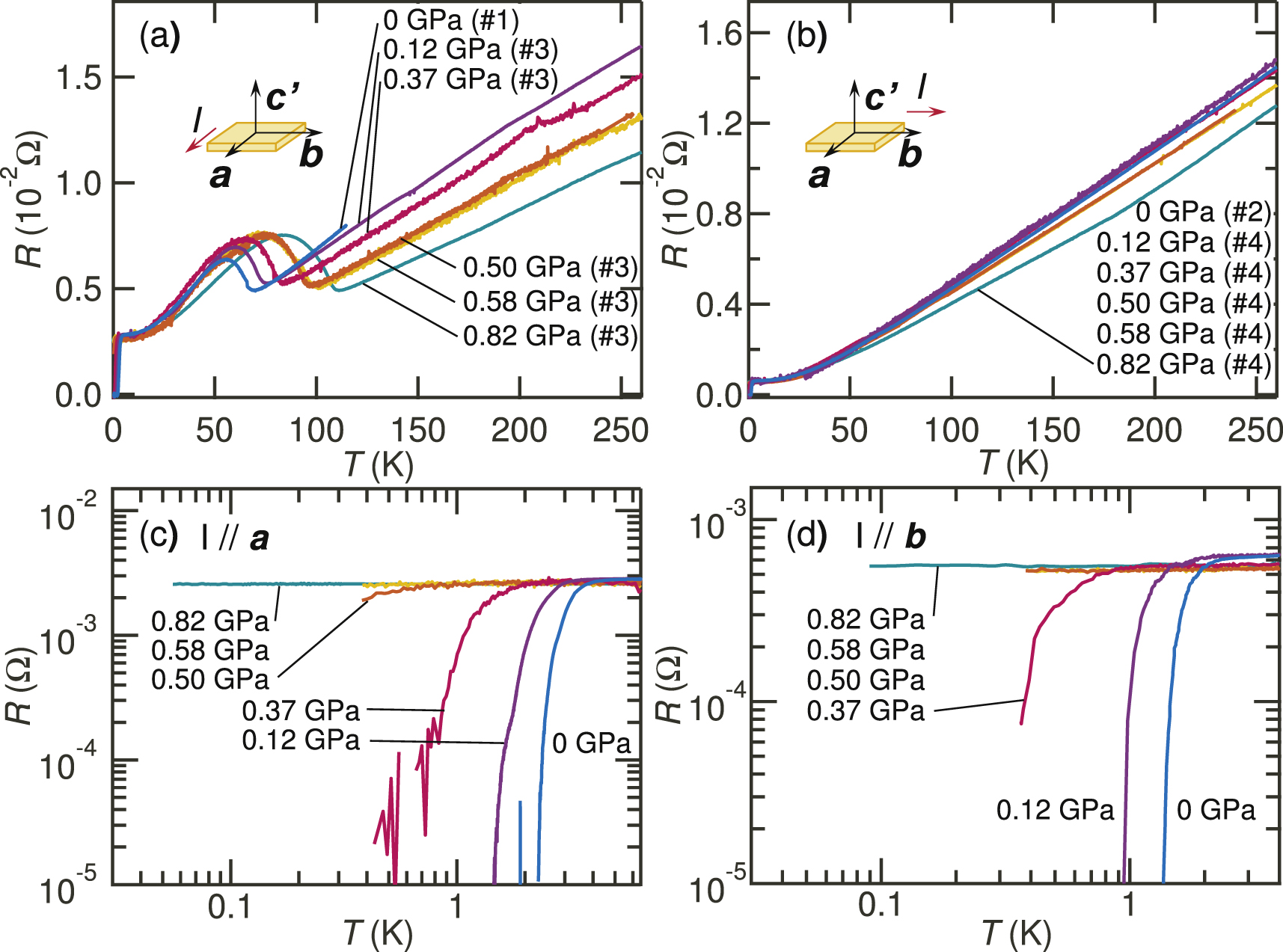 Effects of pressure and magnetic field on superconductivity in ZrTe3 ...