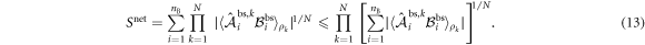 Equation (13)