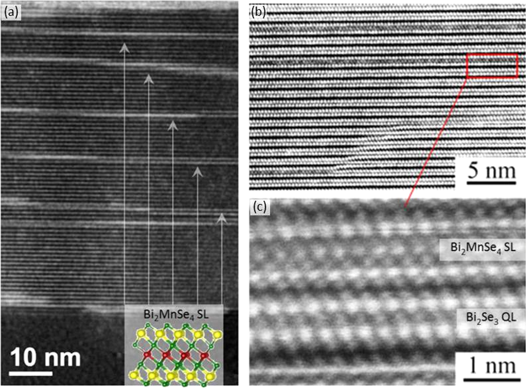 Molecular beam epitaxy growth and structure of self-assembled Bi2Se3 ...