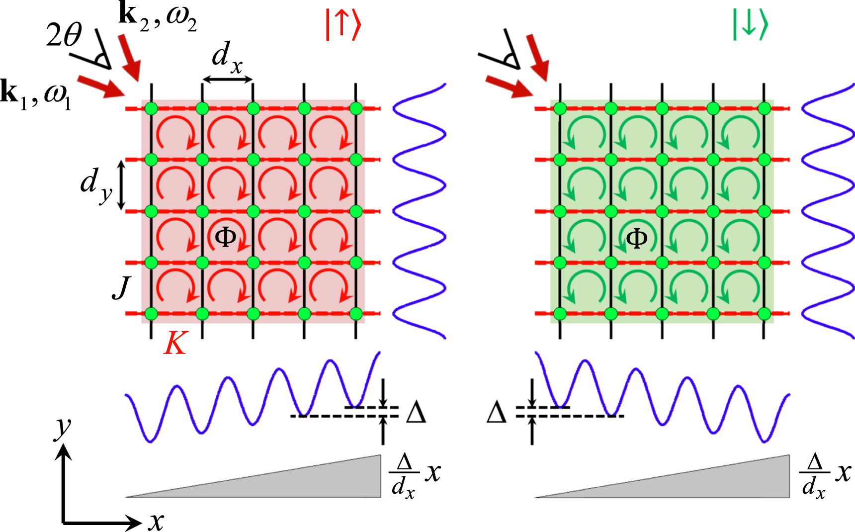 Topological invariant and cotranslational symmetry in