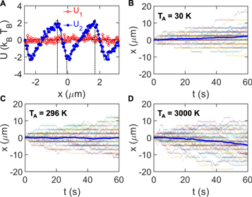 Figure 2. Refer to the following caption and surrounding text.