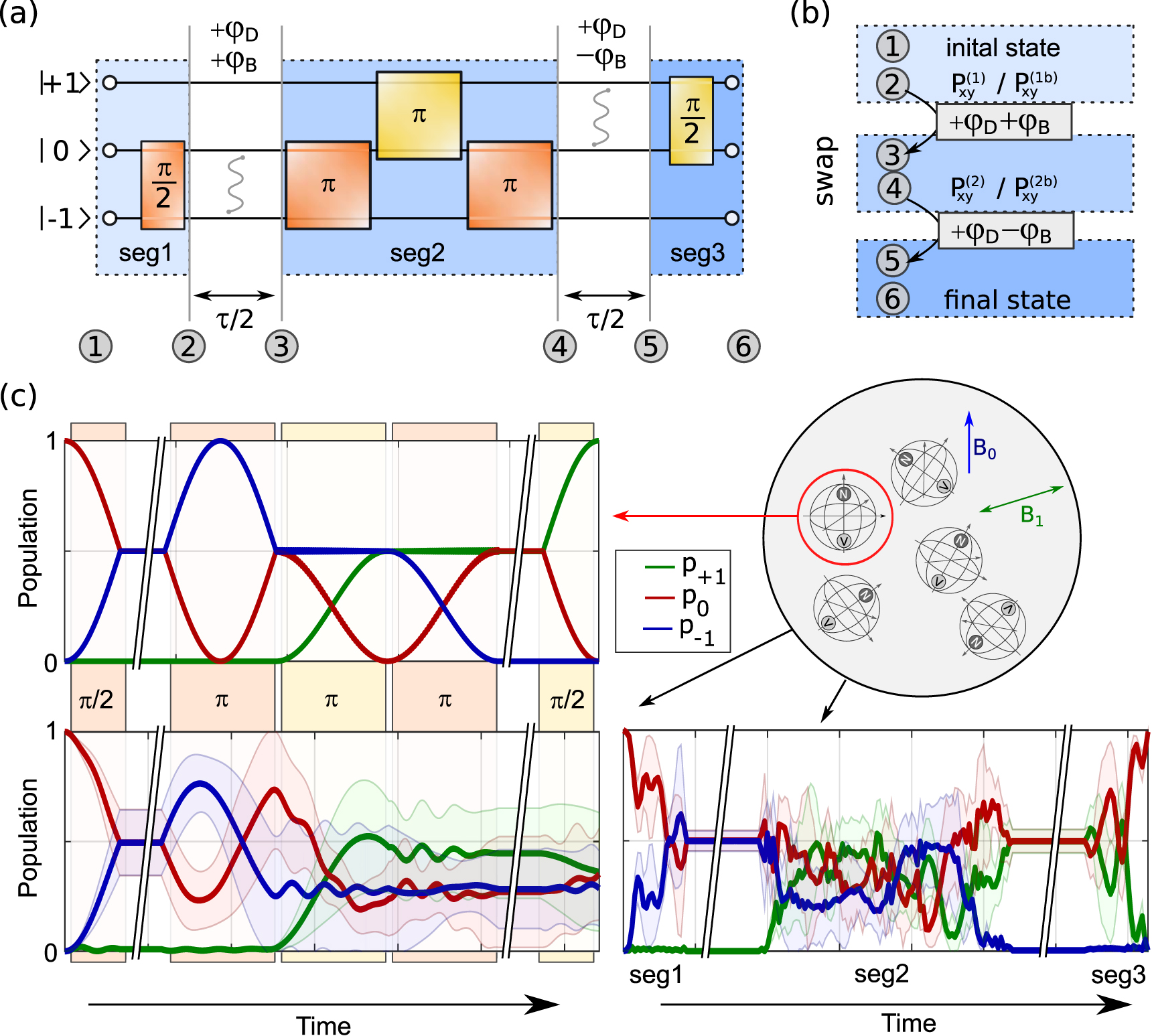 Robust and efficient quantum optimal control of spin probes in a ...