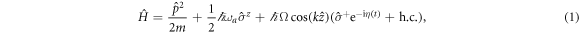 Equation (1)