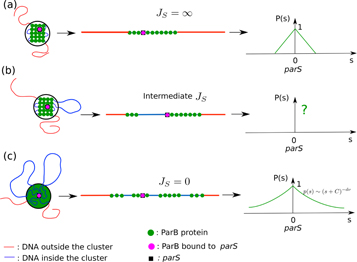 Figure 1. Refer to the following caption and surrounding text.