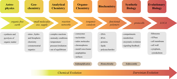 Figure 1. Refer to the following caption and surrounding text.