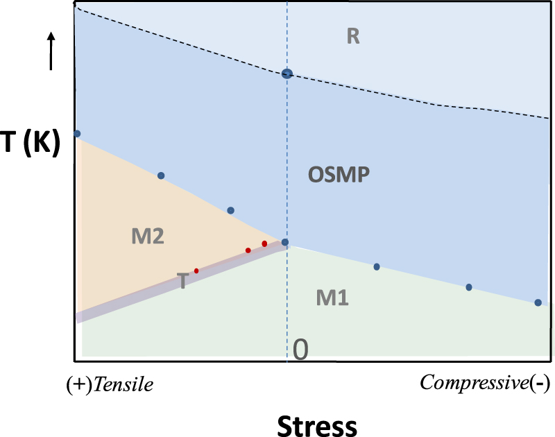 Dynamic signature of orbital selective Mott transition in the metallic ...