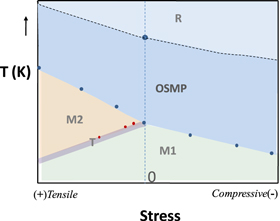 Dynamic signature of orbital selective Mott transition in the metallic ...