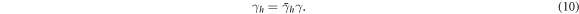 Equation (10)
