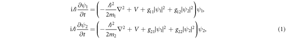 Equation (1)