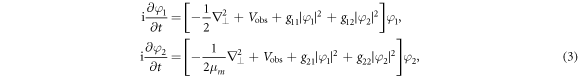 Equation (3)