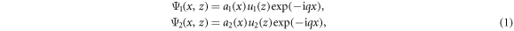 Equation (1)