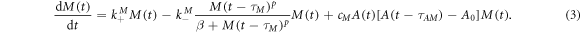 Equation (3)