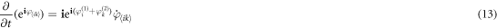 Equation (13)