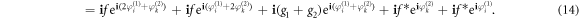 Equation (14)