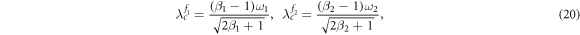 Equation (20)