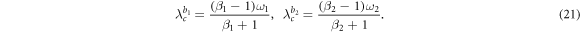 Equation (21)