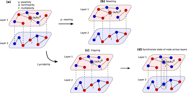 Multilayer coevolution dynamics of the nonlinear voter model - IOPscience