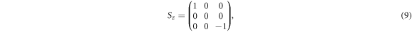 Equation (9)