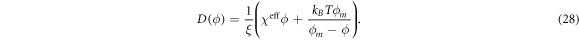 Equation (28)