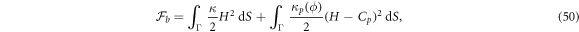 Equation (50)