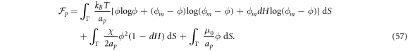 Equation (57)