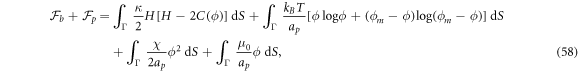 Equation (58)