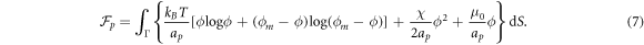 Equation (7)