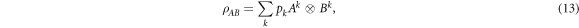 Equation (13)