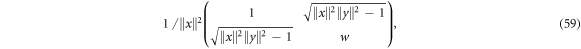 Equation (59)