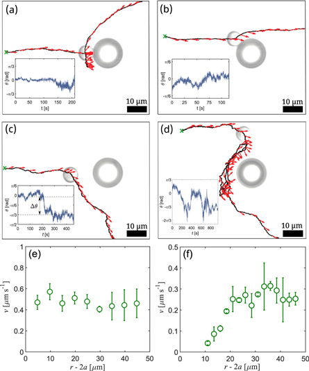 Active particles in geometrically confined viscoelastic fluids - IOPscience