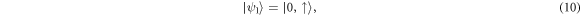 Equation (10)
