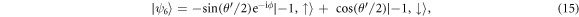 Equation (15)