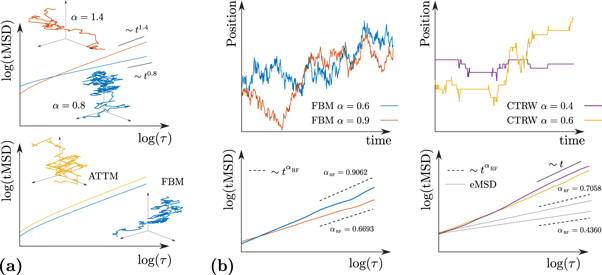 Single trajectory characterization via machine learning - IOPscience