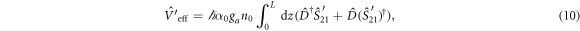 Equation (10)