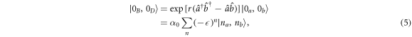 Equation (5)