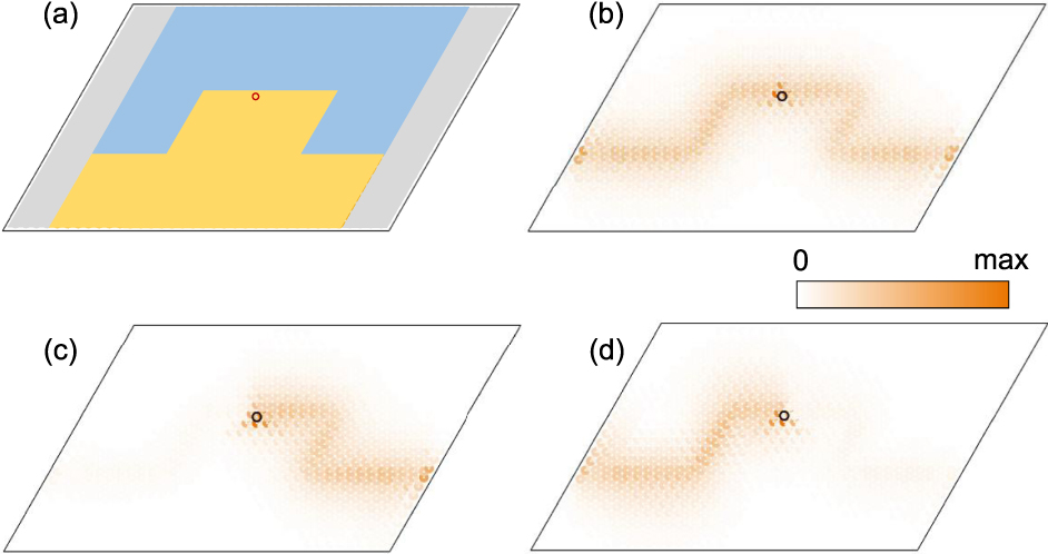 Spin-valley locked topological edge states in a staggered chiral ...