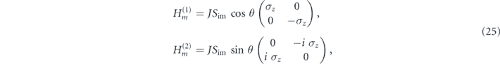 Equation (25)