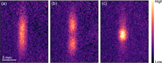 Figure 2. Refer to the following caption and surrounding text.