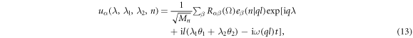 Equation (13)