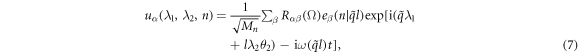 Equation (7)