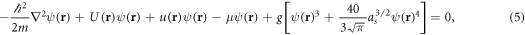 Equation (5)