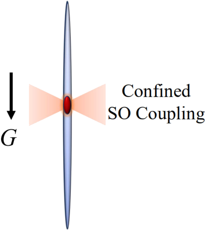 Holding and transferring matter-wave solitons against gravity by spin ...