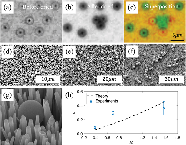 Capillary assembly of colloidal particles on patterned surfaces ...