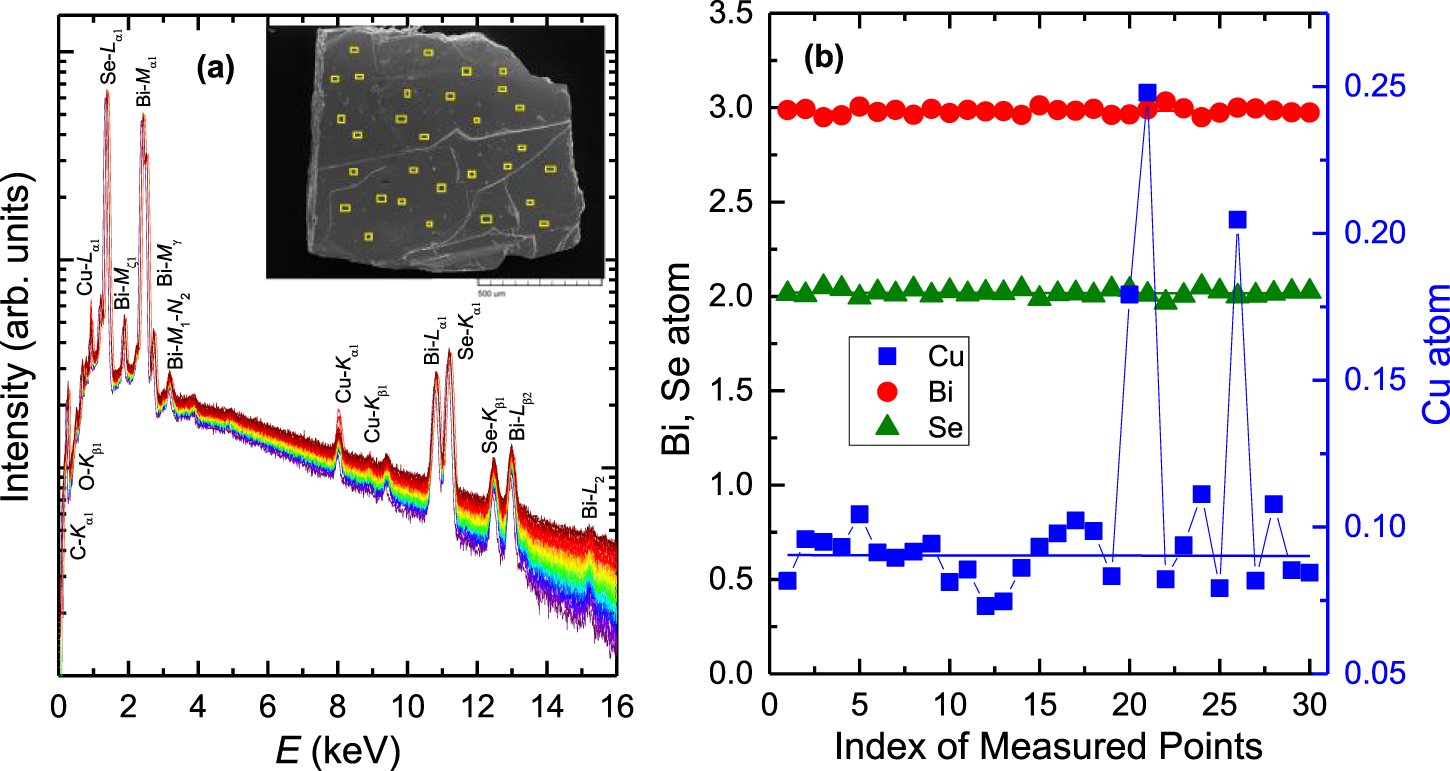 Unconventional superconductivity in CuxBi2Se3 from magnetic ...