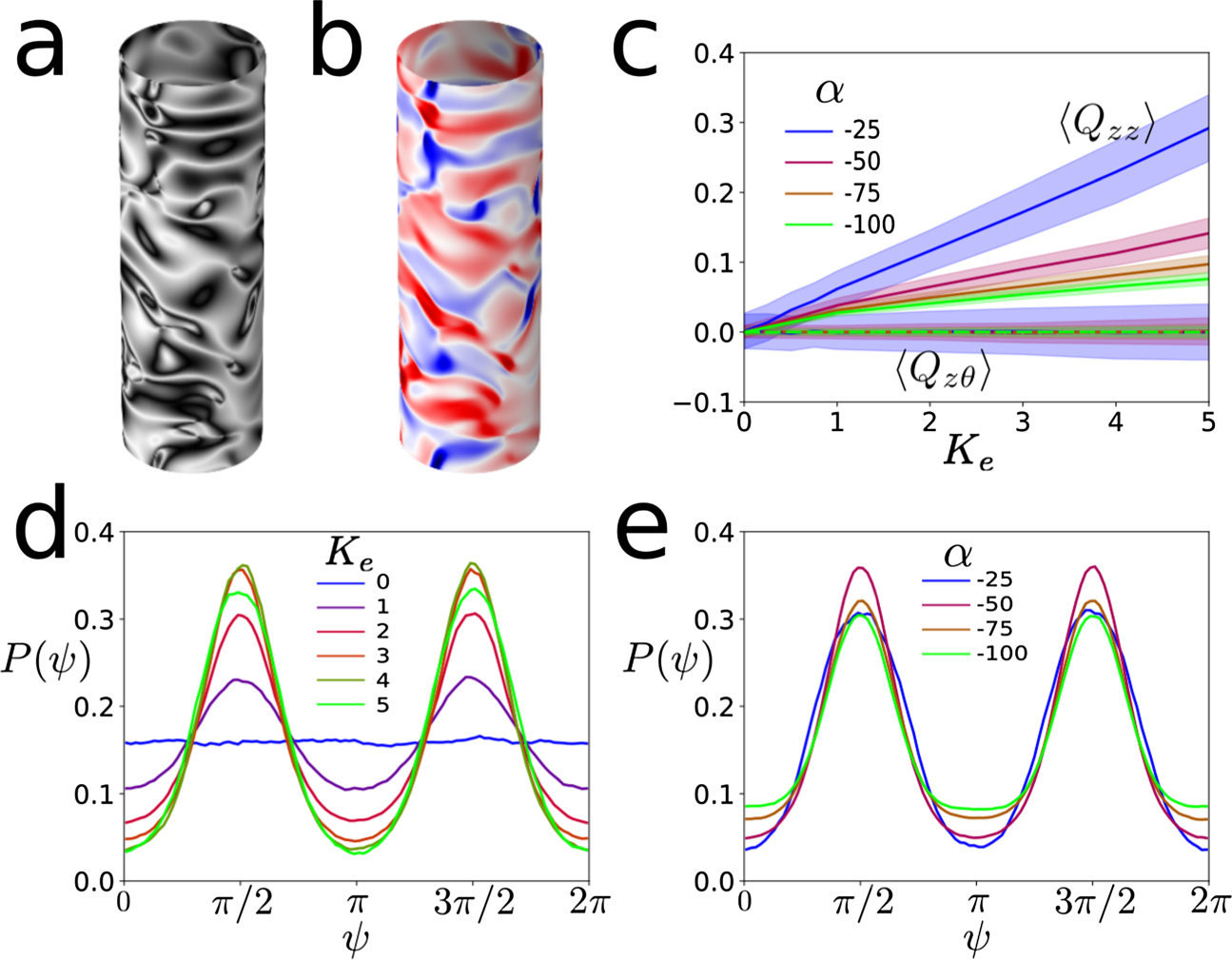 Defect order in active nematics on a curved surface - IOPscience
