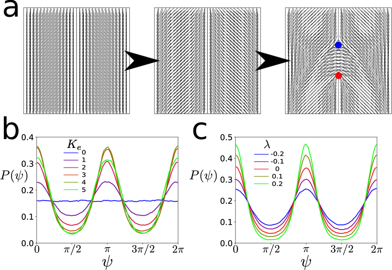 Defect order in active nematics on a curved surface - IOPscience