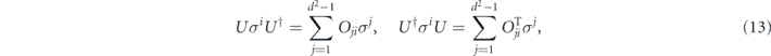 Equation (13)