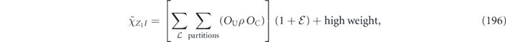 Equation (196)