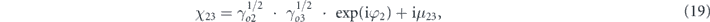 Equation (19)
